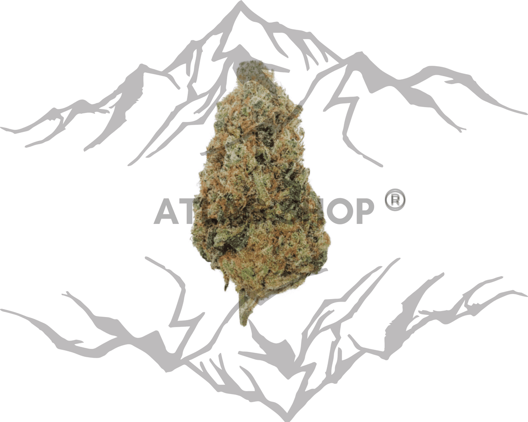 Charlottes Angel’s INDOOR 29% - 3g minimum 💥 NOUVEAUTÉ Janvier 2025 💥