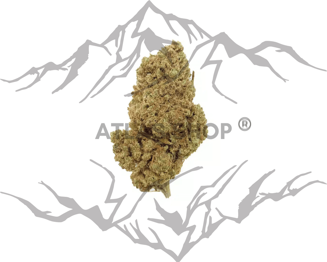 Sour Tsunami 💥 NOUVEAUTÉ Janvier 2024 💥 -40%