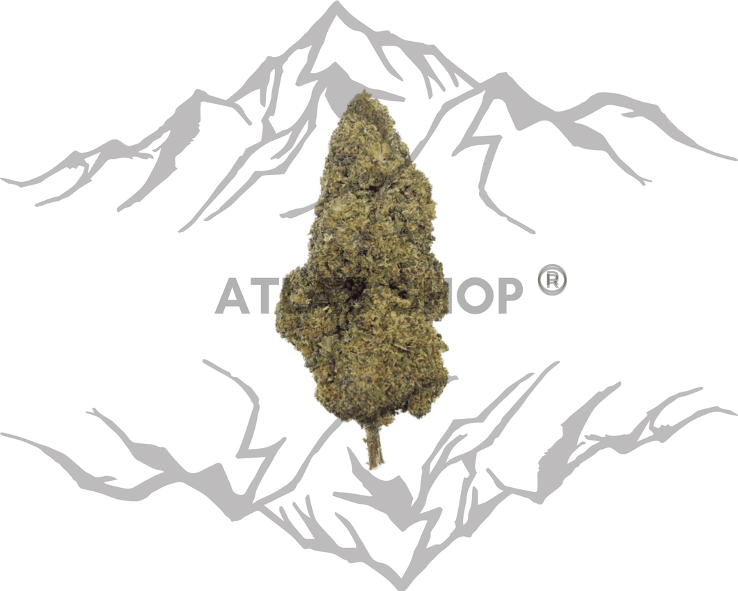 Zkittlez 3g INDOOR 23%💥NOUVEAU 2023💥