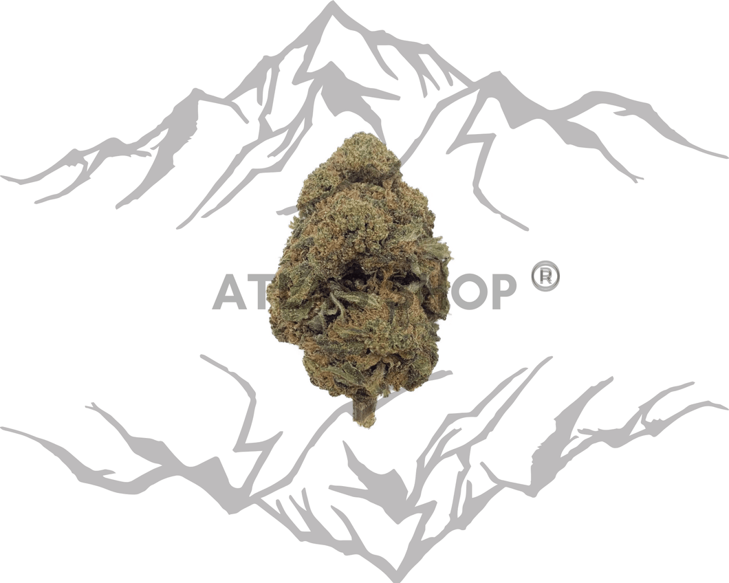 OG Kush INDOOR 28% - 3g minimum 💥 NOUVEAUTÉ Janvier 2025 💥