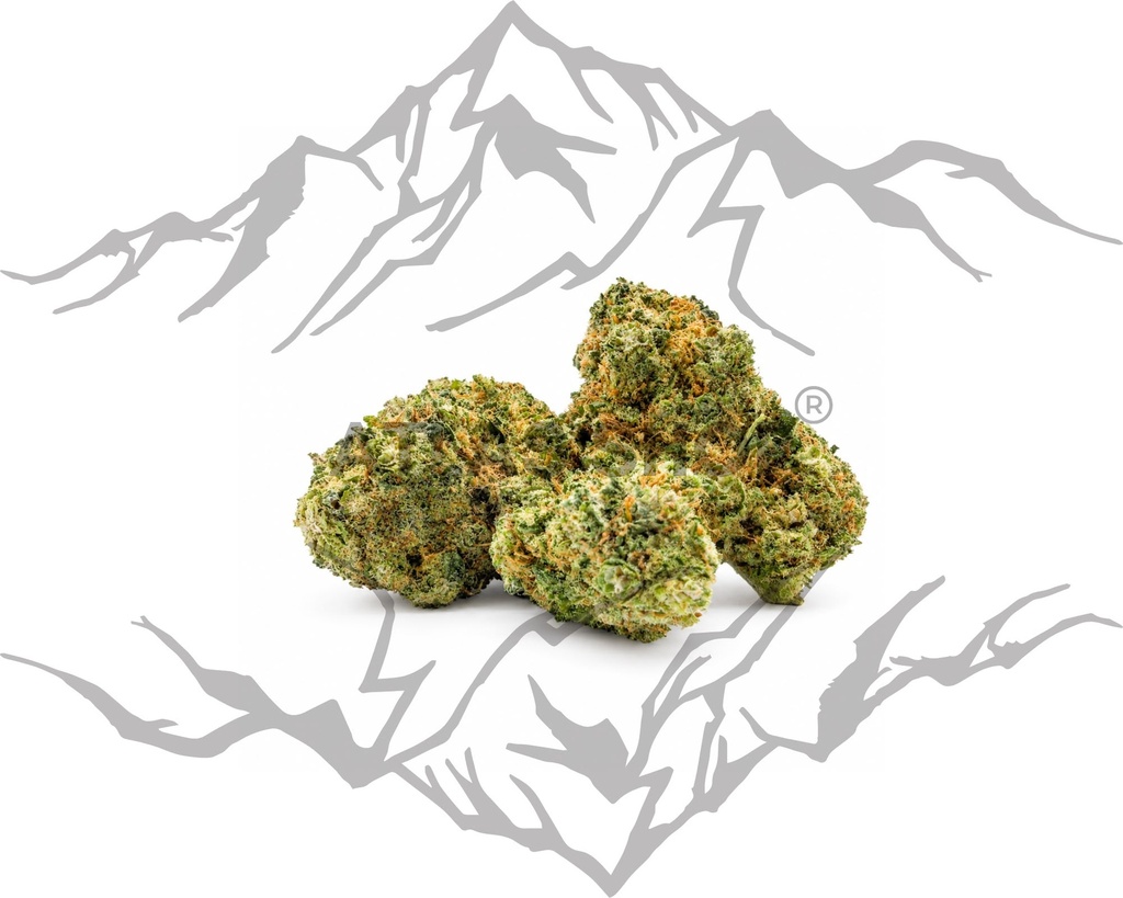 Gushers  🍇💨 (copie)