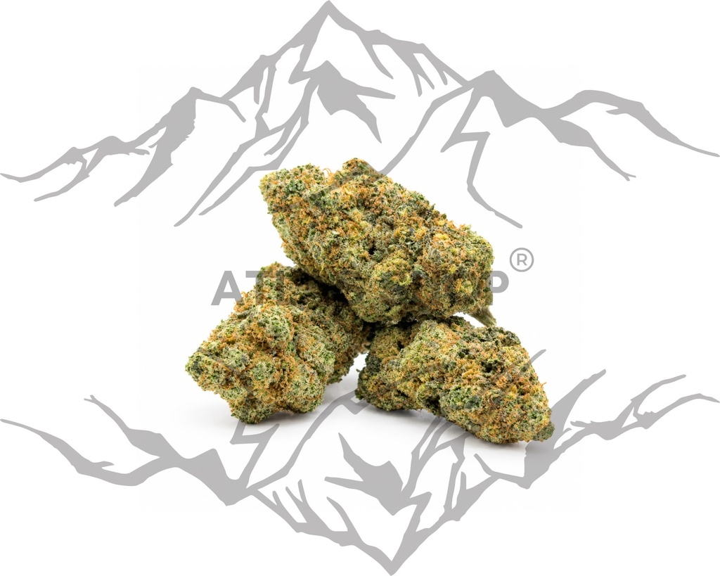 Blueberry Muffin 🧁 - 5/5⭐️