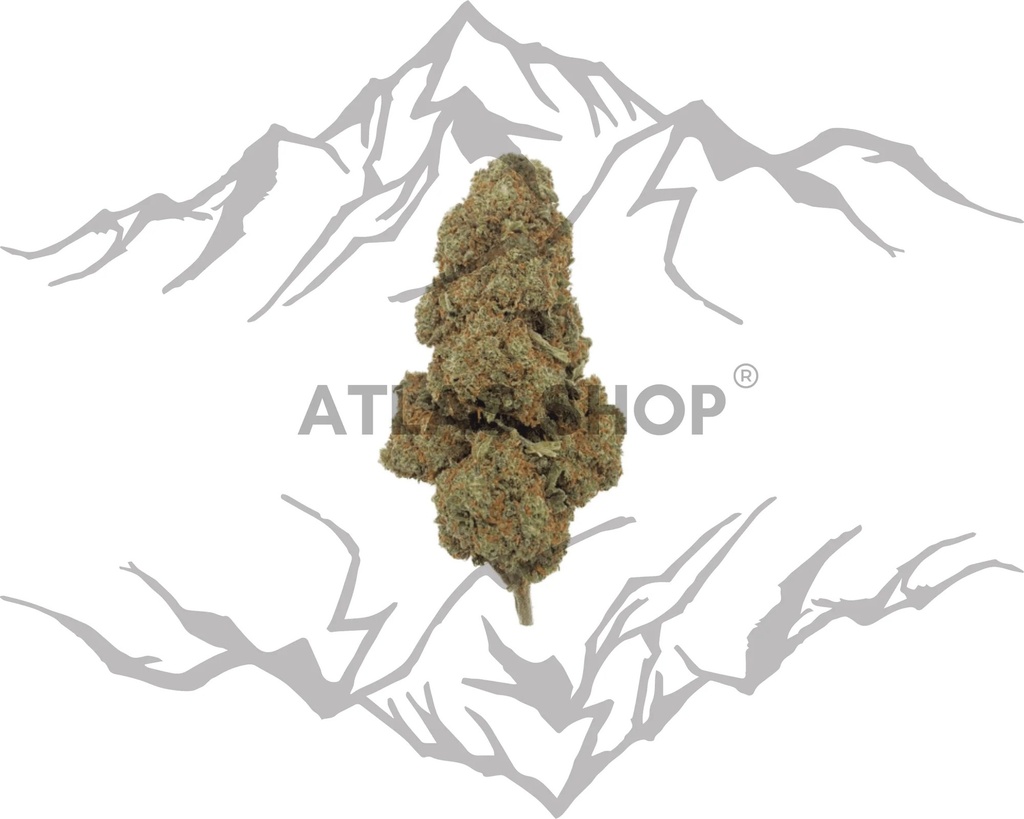 BlackBerry Kush 🫐🧁💨