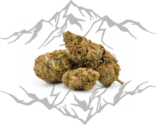 Jack Herer 🍑💨
