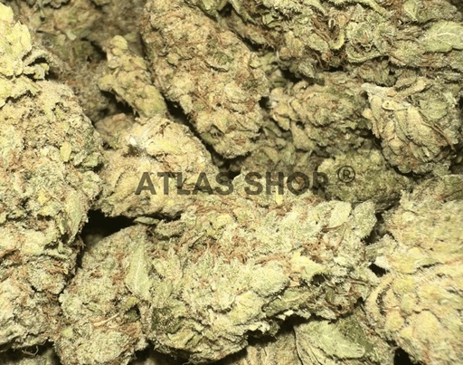 🔥 Gushers 🍇💨