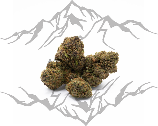 ROYAL OG 🌴🍦💨 