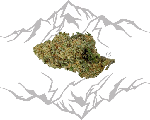 Sweet ZZ 🍇🍬💨