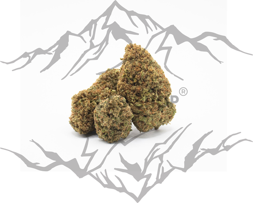 CRITICAL BERRY  🥶