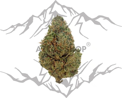 LA Confidential 🌸💎